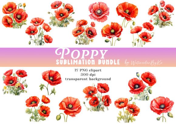 Watercolor Poppy Flower Bundle Clipart: A Practical Review of Its Design Value and Real-World Use